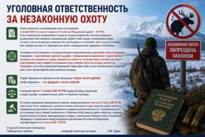 Уголовная ответственность за незаконную охоту